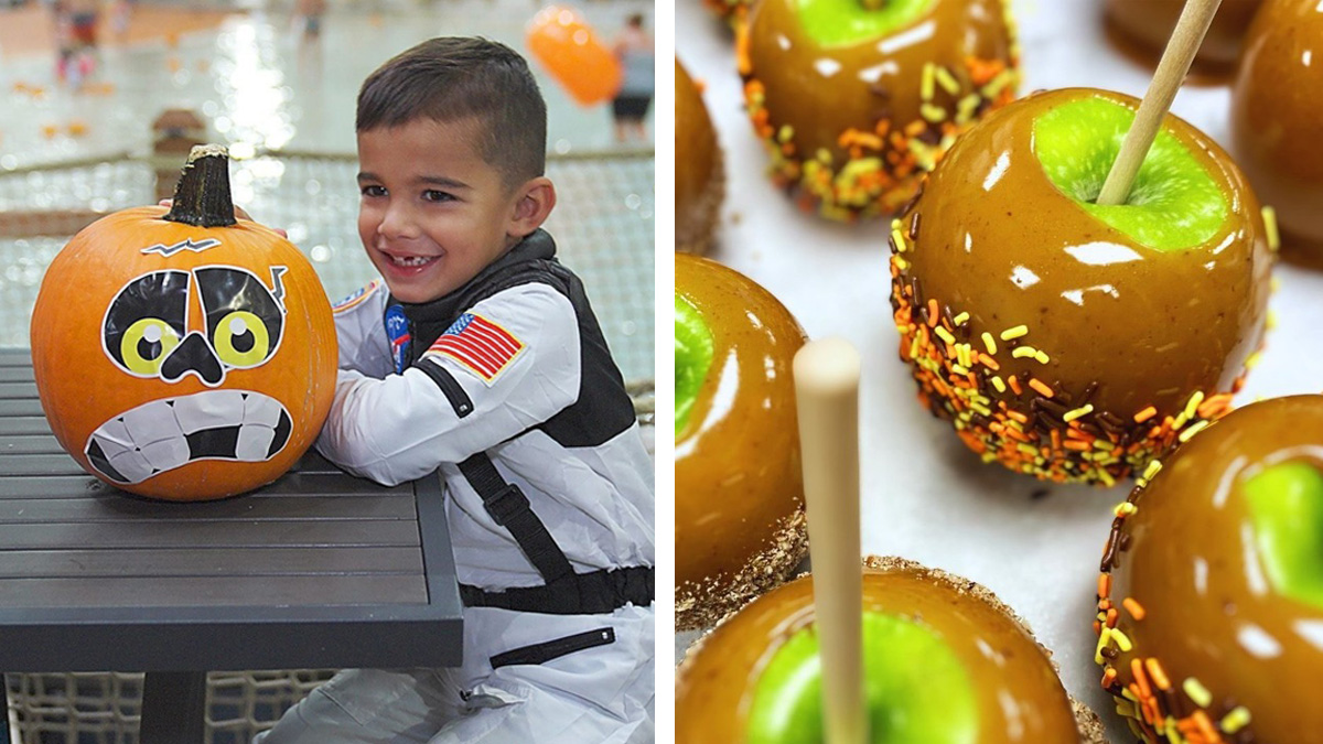 Things to Do This Weekend October 18-20, 2024